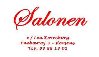 rytter-sponsorer-2016/salonen_logo.png