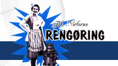 rytter-sponsorer/frk_nielsen_rengoering.png