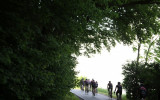 118 km. i benene