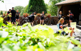 Billeder fra 6. etape