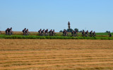 5.etape inkl. Amay og Mur de Huy...