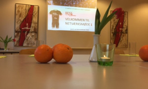 SUCCESFULDT NETVÆRKSMØDE I TBOH...